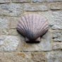 Coquille sur le mur de l'église.