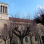 L'église Saint-Cerneuf, de style gothique poitevin a été fortement remaniée au cours de l'histoire.