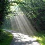 La Rebeyrolle, ambiance matinale sur le chemin de Saint Jacques.