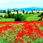 Cité de Carcassonne : carte postale ou réalité ? Vision médievale de la citadelle. Sauvée de la destruction par l'action et la ténacité de l'archéologue Jean-Pierre Cros-Mayrevieille, puis restaurée au XIXe siècle de manière parfois controversée sous la d