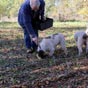 Le cavage se pratique à l'aide d'un instrument à manche court, le cavadou, et du flair affûté d'un porc ou d'un chien. 