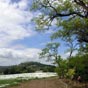 Vue sur Lauzerte. Cette ancienne bastide a été créée au XIIe siècle. La ville est perchée sur son promontoire, ouvrant ses fenêtres sur un panorama généreusement offert depuis la Barbacane ou la promenade de l'Éveillé.