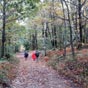 Agréable chemin en descendant vers le Lot au milieu des châtaigniers (crédit photo M. Jérémie).