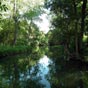 La Seugne arrose la ville de Pons dans une vallée pittoresque traversant un parc aménagé au pied du château. Paisible rivière elle a accueilli les premiers hommes et leurs troupeaux. Les terres fertiles qui l'entourent ont favorisé l'implantation d'un opp