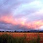 Nous quittons Astorga sous un ciel nuageux.