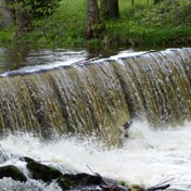 "L'Eau-Mère" 