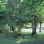 Le parc du monastère des Annonciades : un  havre de verdure.